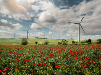 Windpark Eolo