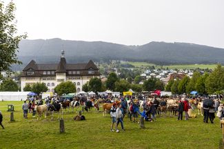 Kuhausstellung
